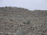 Tibet Kailash 09 Kora 06 Dolma La Ahead Heres the final hill to climb to the Dlma La (5630m), a wide and rocky pass that is festooned with an enormous number of prayer flags.